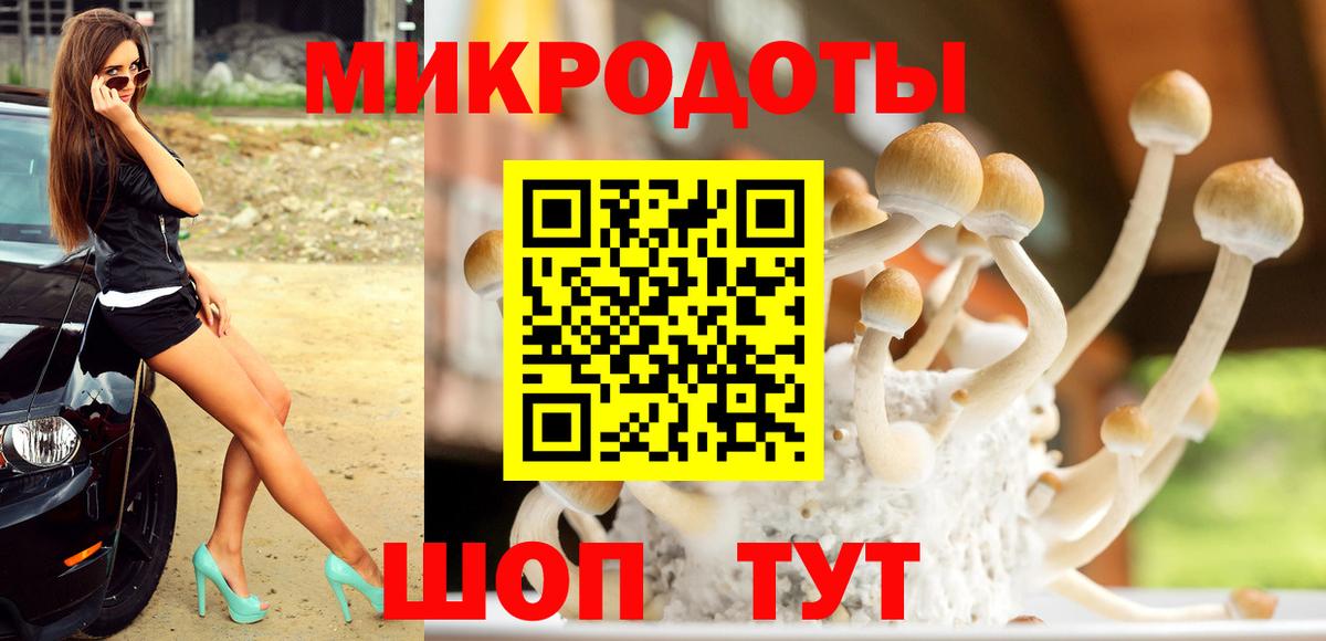 как найти наркотики  Вход с VPN  Ростов-на-Дону  Галлюциногенные грибы MAGIC MUSHROOMS  Галлюциногенные грибы Psilocybe 